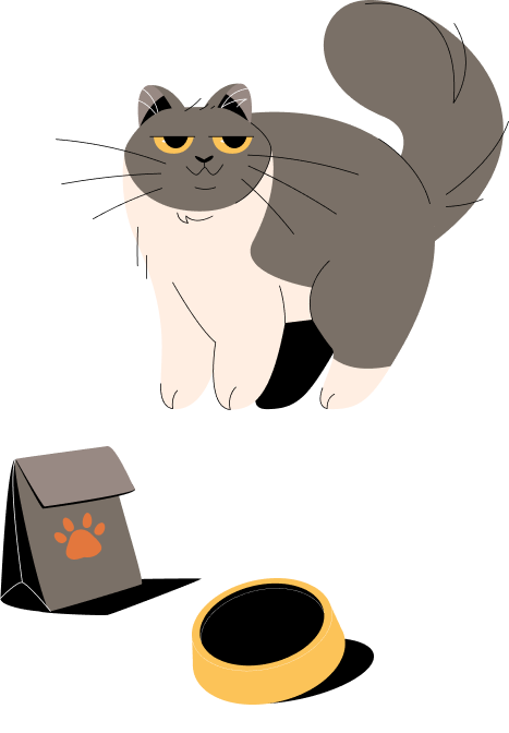 cat illustration